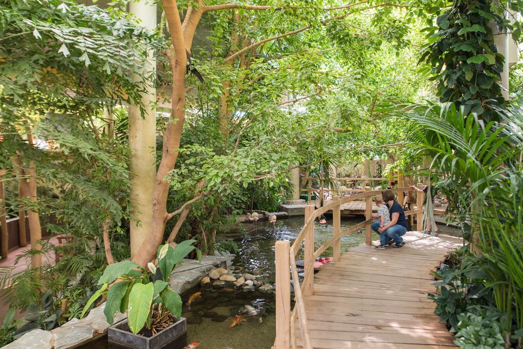 Center Parcs Port Zelande Beach Ouddorp Exterior foto